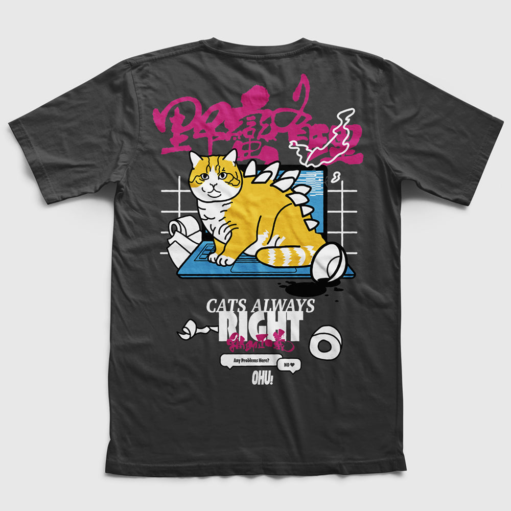 Cat Is Always Right Cat Lover Tee | White / Dark Charcoal | Unisex